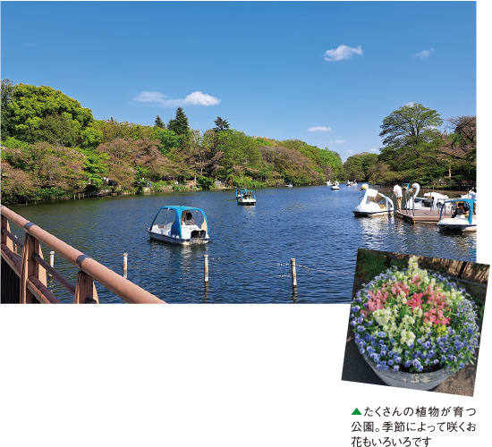 自然がいっぱい！ 井の頭恩賜公園