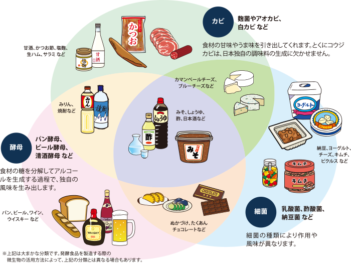 身近な発酵食品