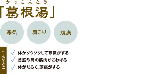 「葛根湯」かっこんとう