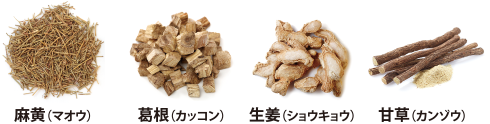 麻黄（マオウ）葛根（カッコン）生姜（ショウキョウ）甘草（カンゾウ）